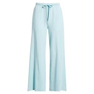 EILEEN FISHER Organic Cotton Wide Ankle Pants in Pool Blue Size XL